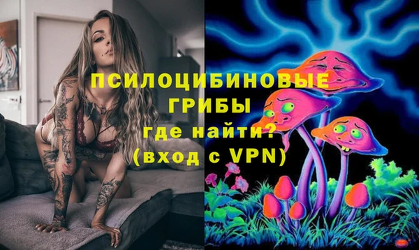 прущая мука Дмитров